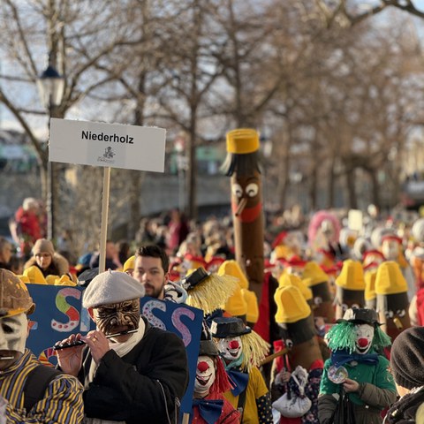 BSFIDI Fasnacht Niederholz