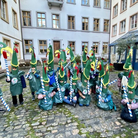 BSFIDI 5. Vergrösserte Ansicht