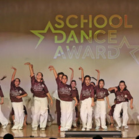 SCHOOL DANCE AWARD Foto 2. Vergrösserte Ansicht