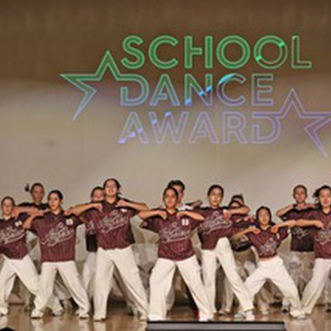 SCHOOL DANCE AWARD Foto 1. Vergrösserte Ansicht